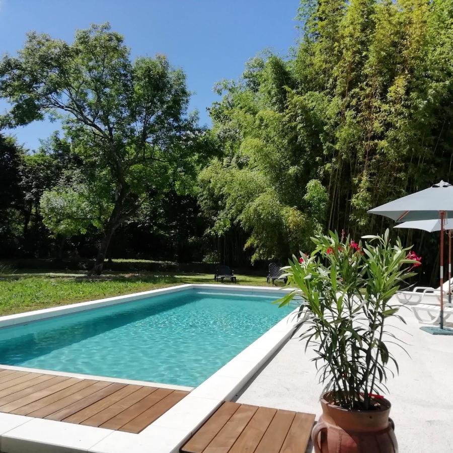 Chateau Des Salles Saint-Fort-sur-Gironde Εξωτερικό φωτογραφία