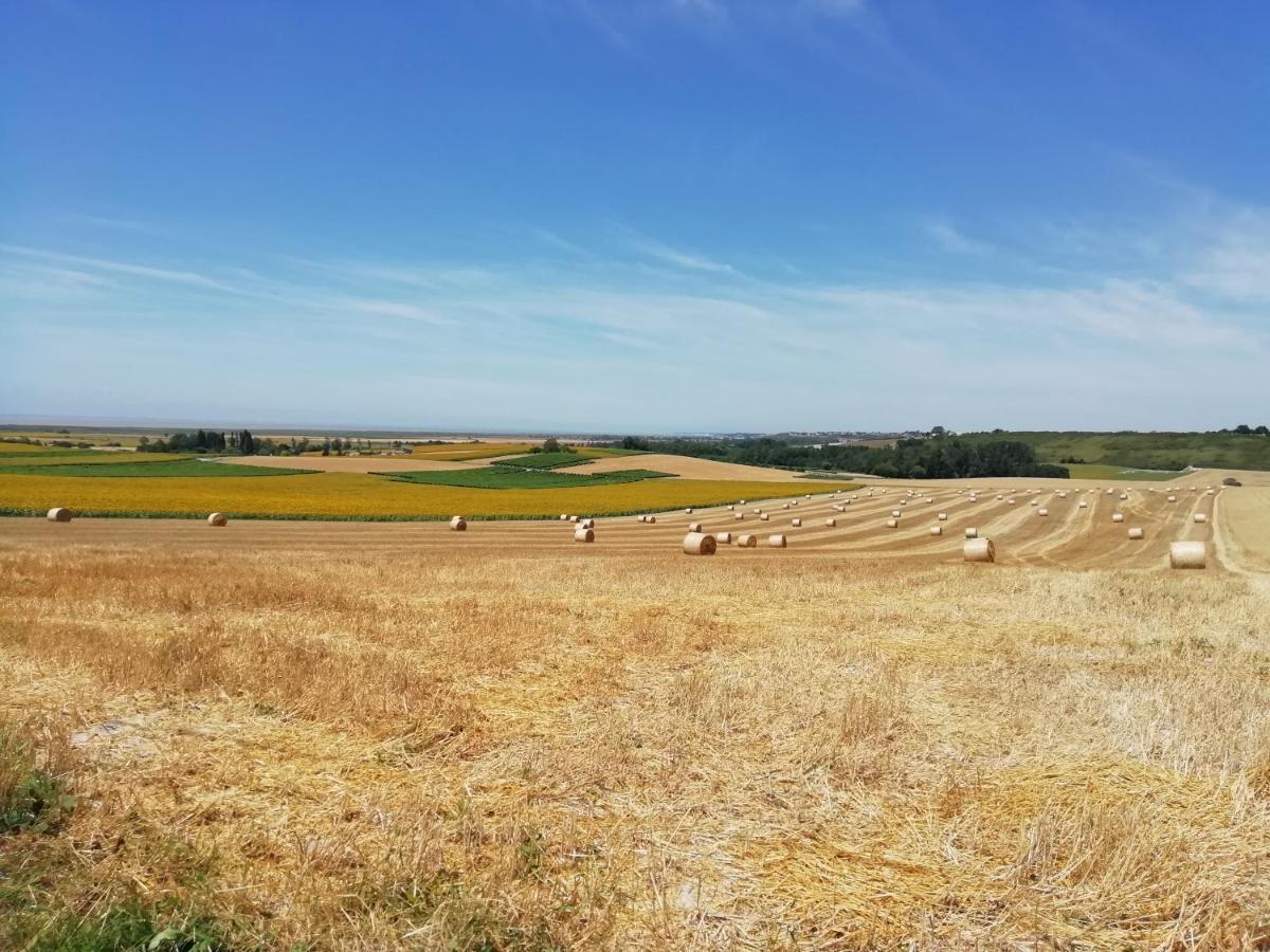 Chateau Des Salles Saint-Fort-sur-Gironde Εξωτερικό φωτογραφία