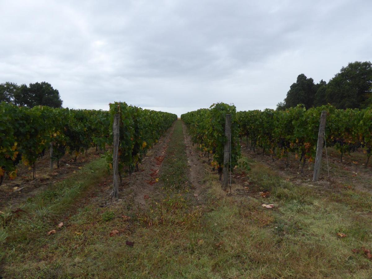 Chateau Des Salles Saint-Fort-sur-Gironde Εξωτερικό φωτογραφία