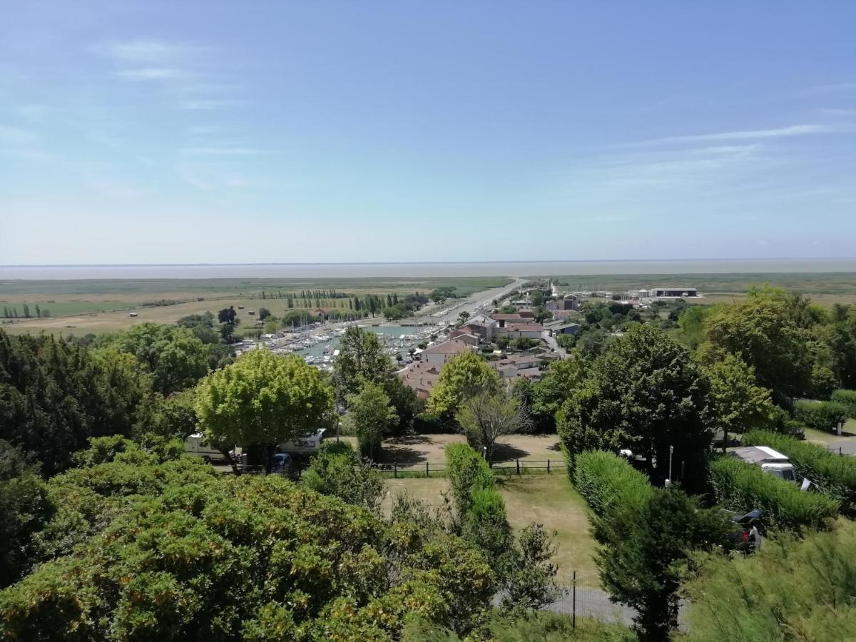 Chateau Des Salles Saint-Fort-sur-Gironde Εξωτερικό φωτογραφία